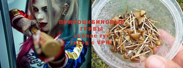 таблы Новодвинск