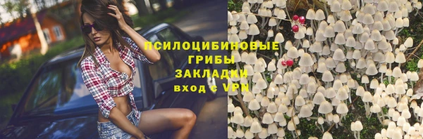 бутират Алексин