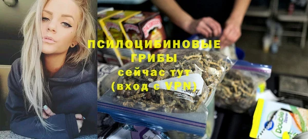спиды Алексеевка